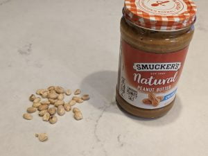 Gastroparesis diet
